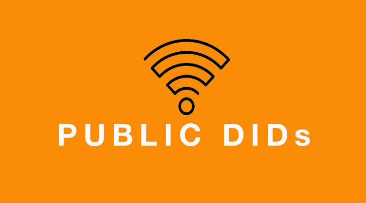 Public DIDs